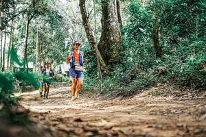 BIB: 
                            <button type="button" onclick="openModal(25395036)" class="btn btn-primary btn-sm float-right btn-popup" data-toggle="modal" data-target=".modal-high-quality">
                        <i class="fas fa-shopping-cart"></i> Add to Cart
                    </button>
                                            <button type="button" onclick="isThisMe(25395036, true)" class="btn btn-success btn-sm float-right btn-popup btn-isme hidden" data-toggle="tooltip" data-placement="bottom" title="นี่คือรูปของคุณใช่ไหม คลิกที่นี่เพื่อเอาเข้าอัลบั้ม">
                        <i class="fas fa-plus"></i> Add to album
                    </button>
                    <button type="button" onclick="isThisMe(25395036, false)" class="btn btn-warning btn-sm float-right btn-popup btn-isnotme hidden">
                        <i class="fas fa-ban"></i> Remove from album
                    </button>